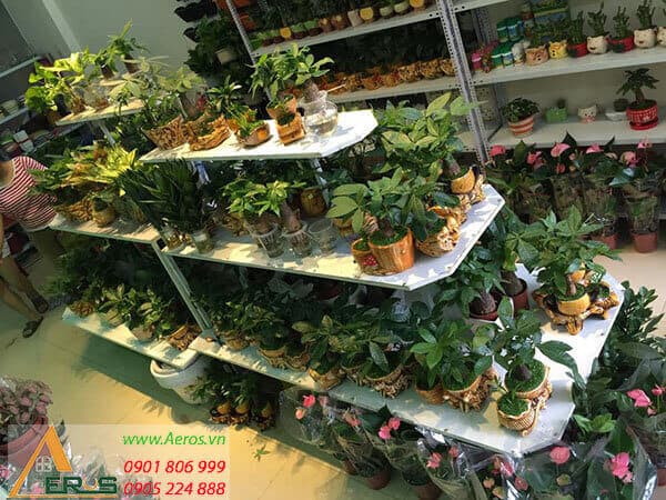 Hình ảnh dự án 50+ MẪU THiẾT KẾ CỬA HÀNG CÂY CẢNH - CÂY XANH ĐẸP NHẤT. Khám phá chi tiết về dự án 50+ MẪU THiẾT KẾ CỬA HÀNG CÂY CẢNH - CÂY XANH ĐẸP NHẤT được thực hiện bởi đội ngũ chuyên gia giàu kinh nghiệm. Dự án này thể hiện sự chuyên nghiệp và chất lượng trong từng công đoạn thực hiện.