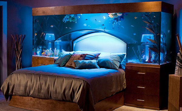 Có nên để bể cá trong phòng ngủ