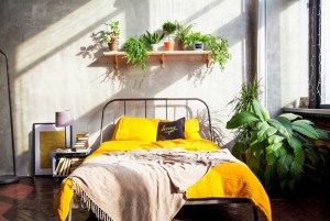 Top 50 mẫu thiết kế nội thất phòng ngủ diện tích nhỏ đẹp nhất